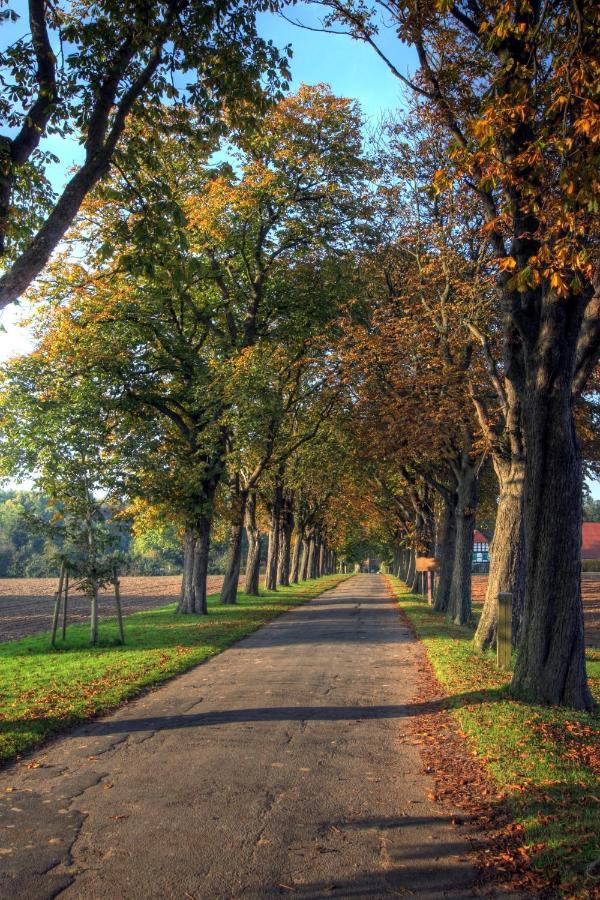 Schlosspark Hollwinkel Preußisch Oldendorf Exteriér fotografie